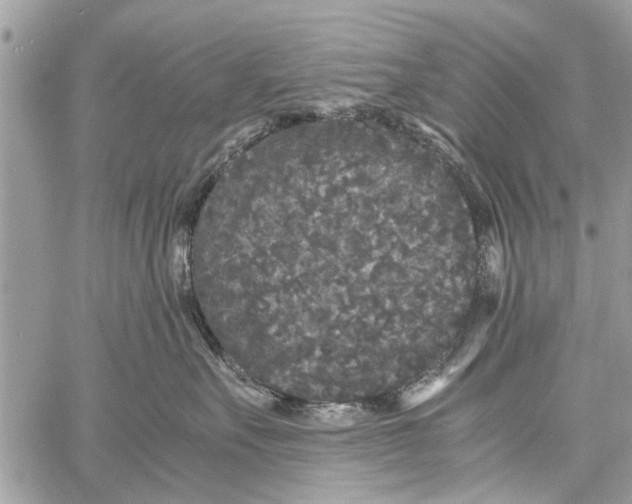 X0000061760527200512302307