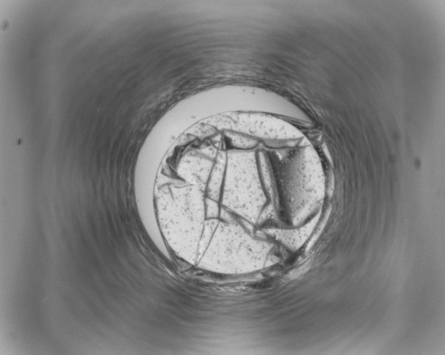 X0000061760528200512302307