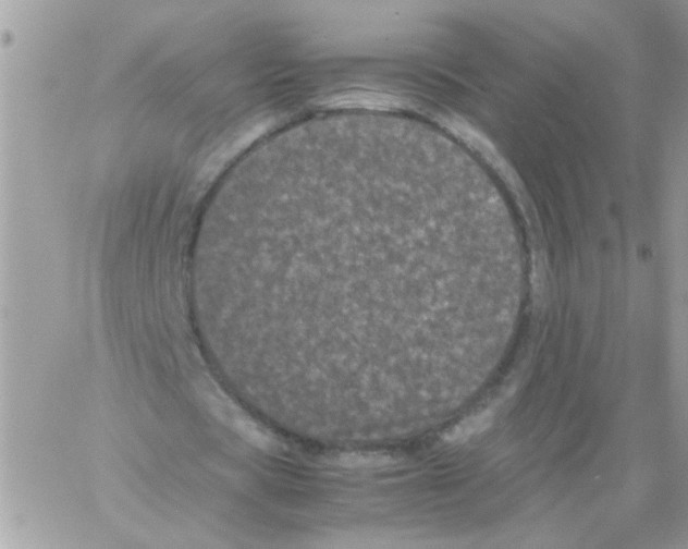 X0000061760529200512302306