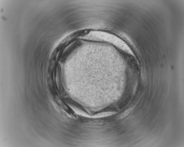 X0000061760532200512302306