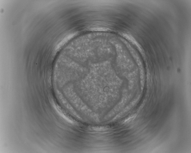 X0000061760533200512302306