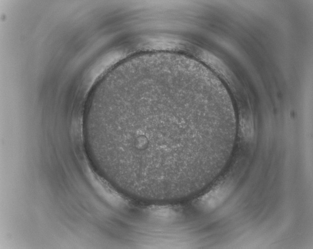 X0000061760534200512302306