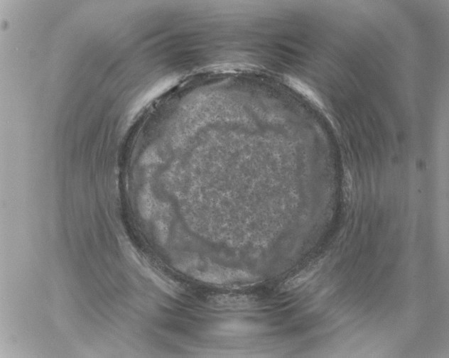 X0000061760535200512302306