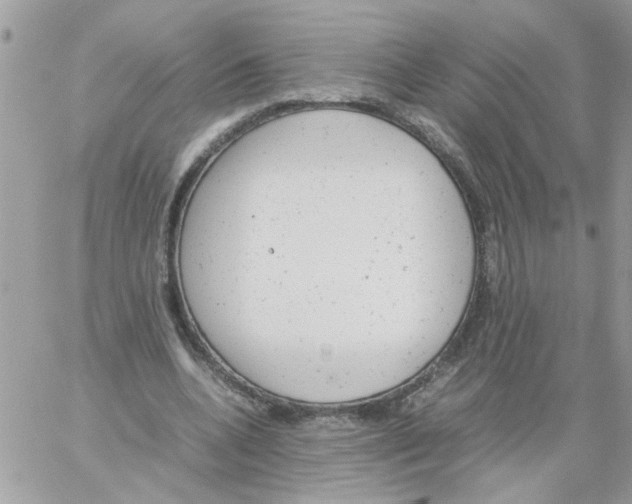 X0000061760536200512302306