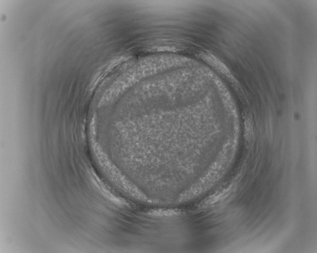 X0000061760537200512302306