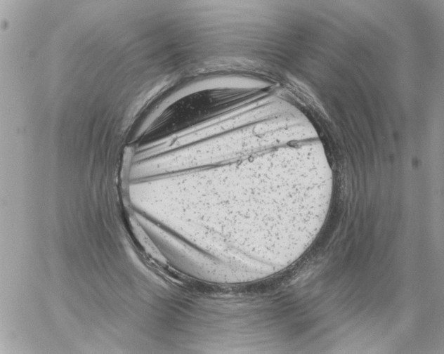 X0000061760538200512302306