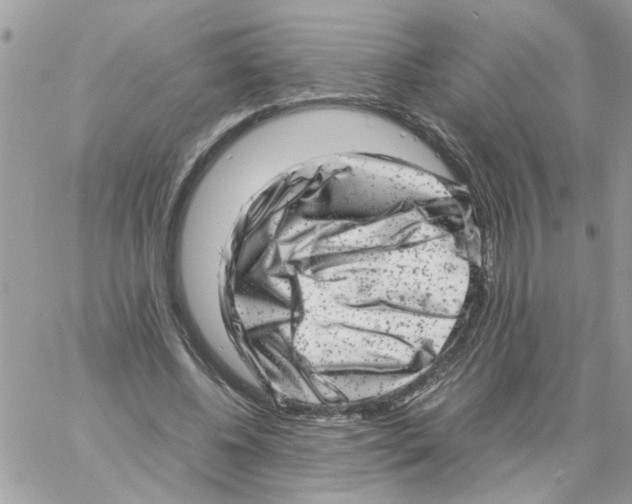 X0000061760540200512302306