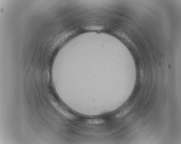 X0000061760541200512302306