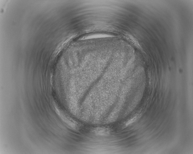 X0000061760542200512302306