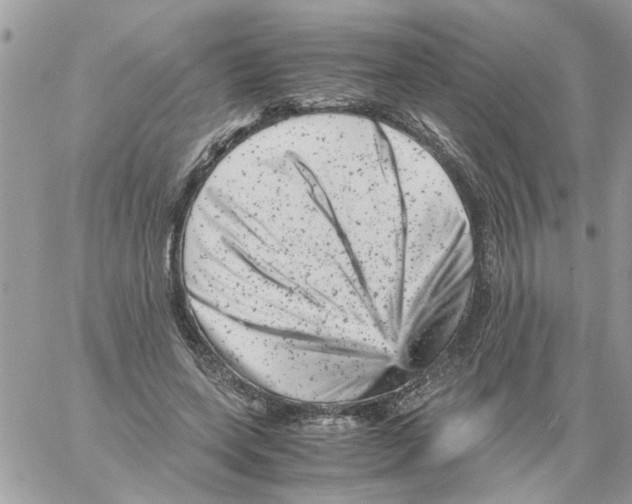 X0000061760543200512302306