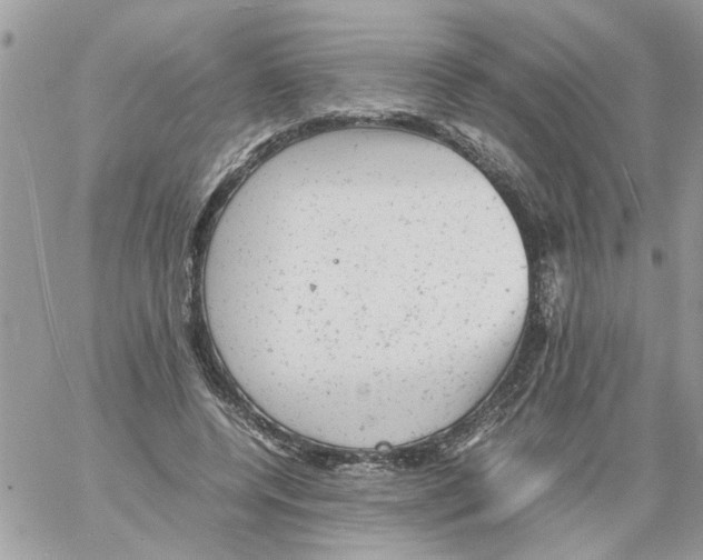 X0000061760544200512302306