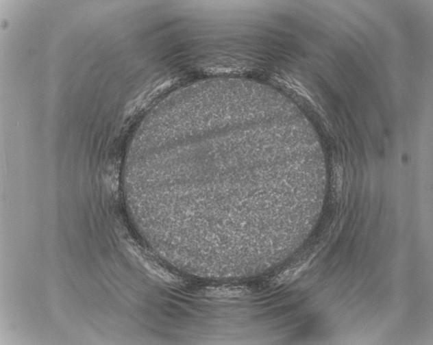 X0000061760545200512302306