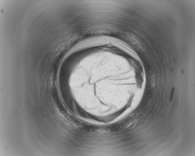 X0000061760546200512302306