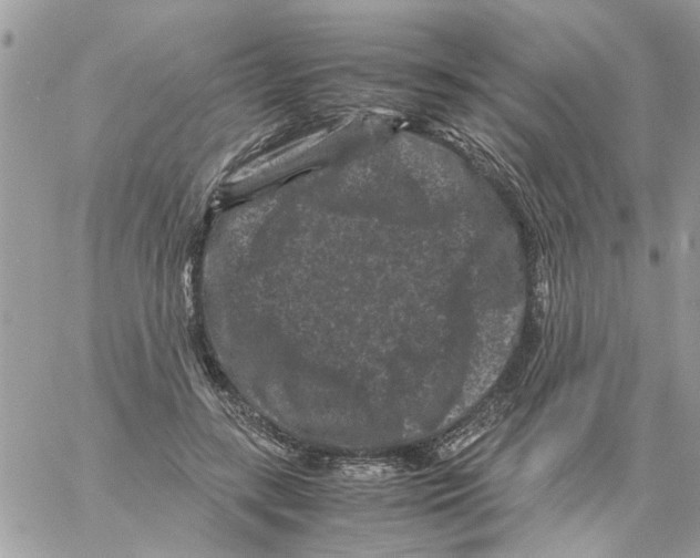 X0000061760547200512302306