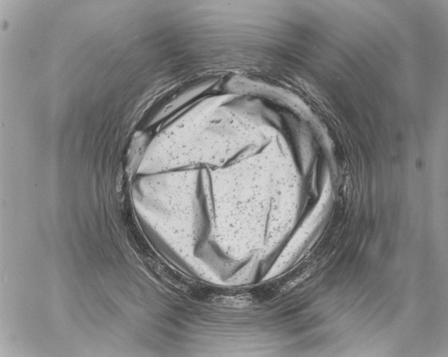 X0000061760548200512302306