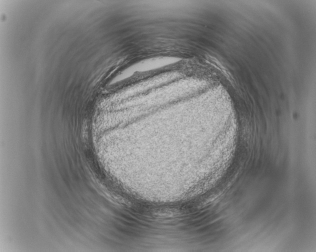 X0000061760549200512302306