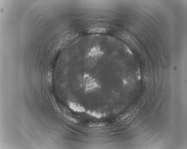 X0000061760551200512302306