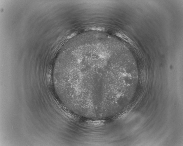 X0000061760553200512302306