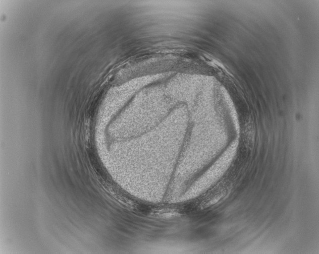 X0000061760554200512302306