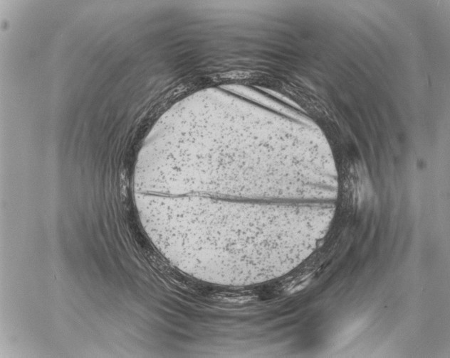 X0000061760555200512302306