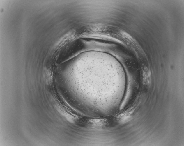 X0000061760558200512302306