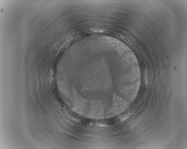 X0000061760559200512302306