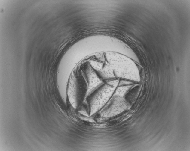 X0000061760560200512302306