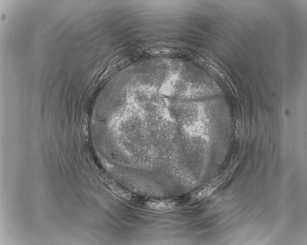 X0000061760561200512302306