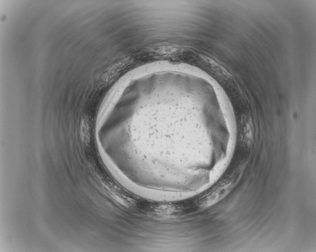 X0000061760562200512302306