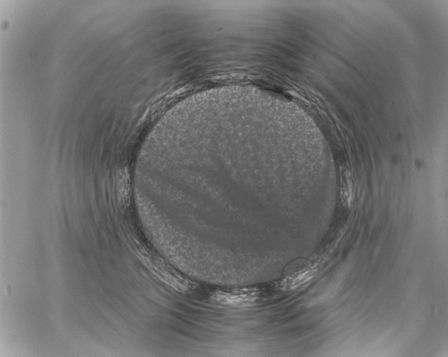 X0000061760563200512302306