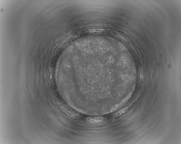 X0000061760567200512302306