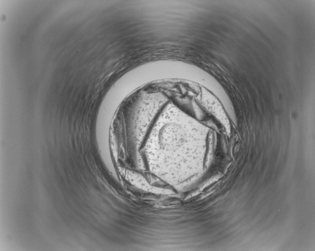 X0000061760568200512302306