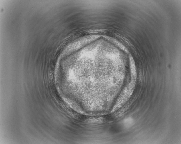 X0000061760569200512302306