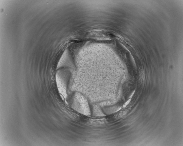 X0000061760571200512302306