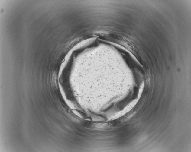 X0000061760575200512302307