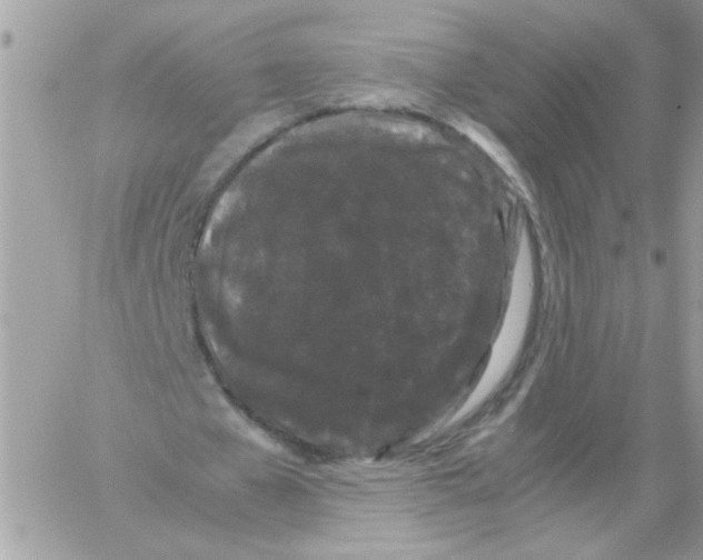 X0000061760577200512302306