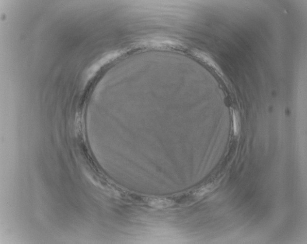 X0000061760579200512302306