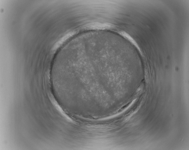 X0000061760581200512302306