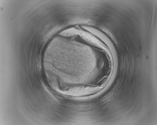 X0000061760582200512302306