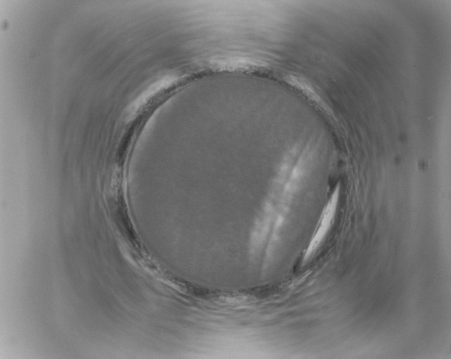 X0000061760583200512302306