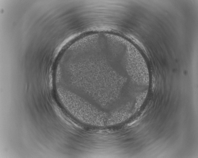 X0000061760584200512302306