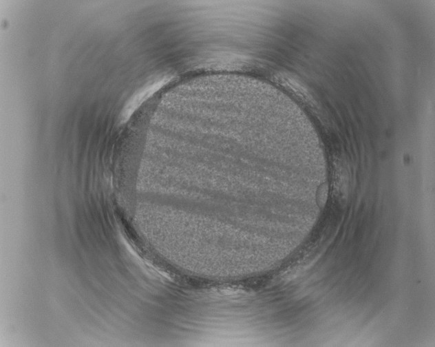 X0000061760586200512302306