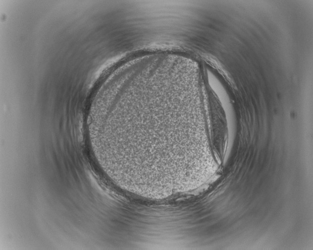 X0000061760588200512302306