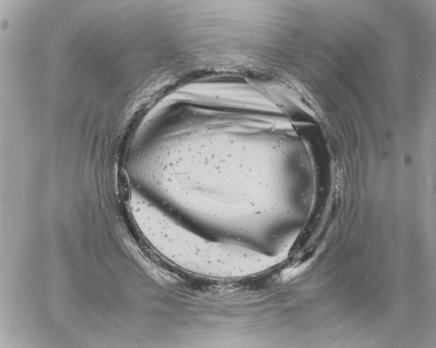 X0000061760589200512302306