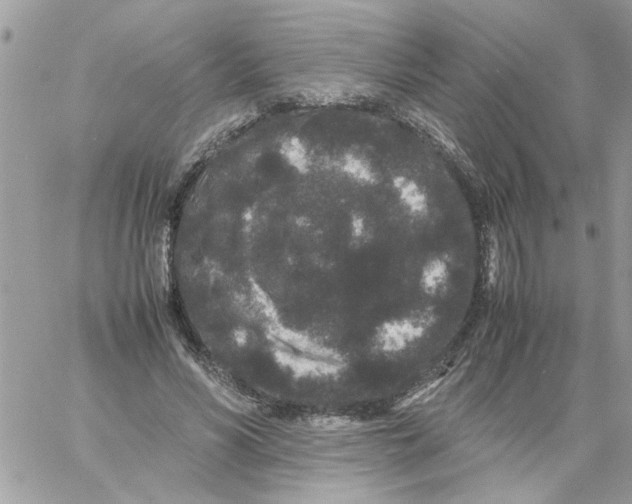 X0000061760590200512302306