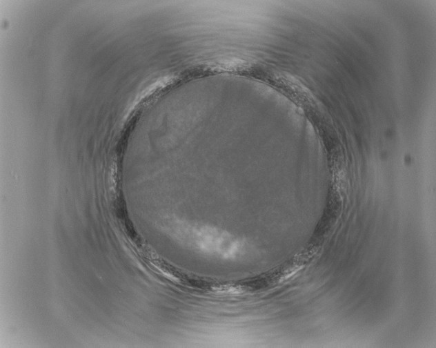 X0000061760591200512302305