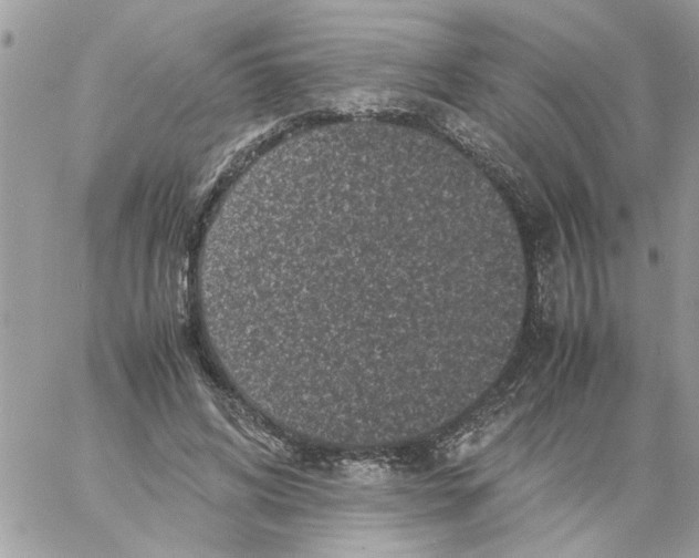 X0000061760592200512302305