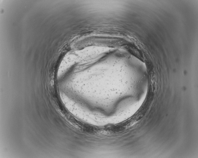 X0000061760593200512302305