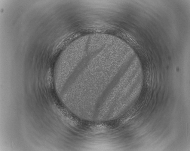 X0000061760594200512302305