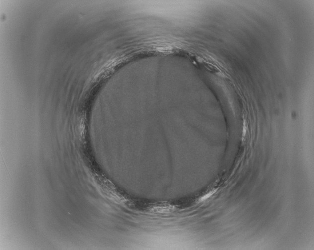 X0000061760595200512302305